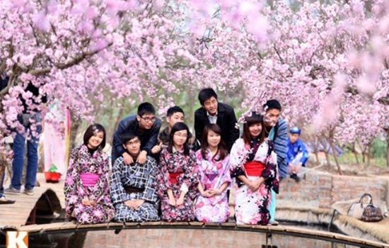 Du học Nhật Bản kỳ tháng 4 là cơ hội để bạn ngắm hoa anh đào