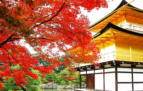 phong Nhật Bản xen lẫn sự cổ kính của cố đô Kyoto