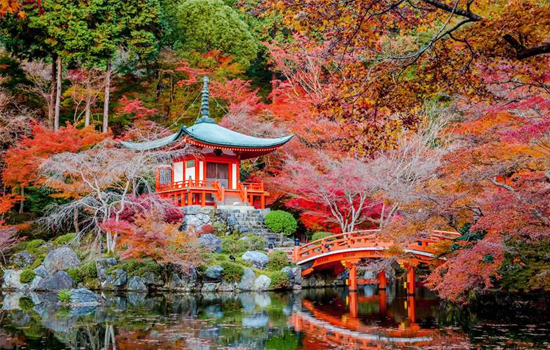 Cảnh tượng đẹp đến nao lòng ở chùa Daigo, Kyoto