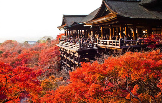 Trong dịp này, các đền chùa ở Kyoto luôn chật kín du khách