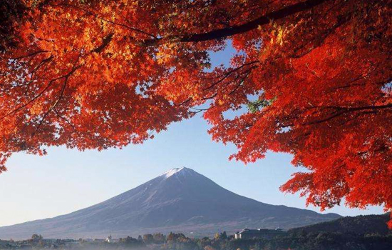 Du lịch mùa thu để xem lá đổi màu là nguồn lợi chính của du lịch Nhật Bản